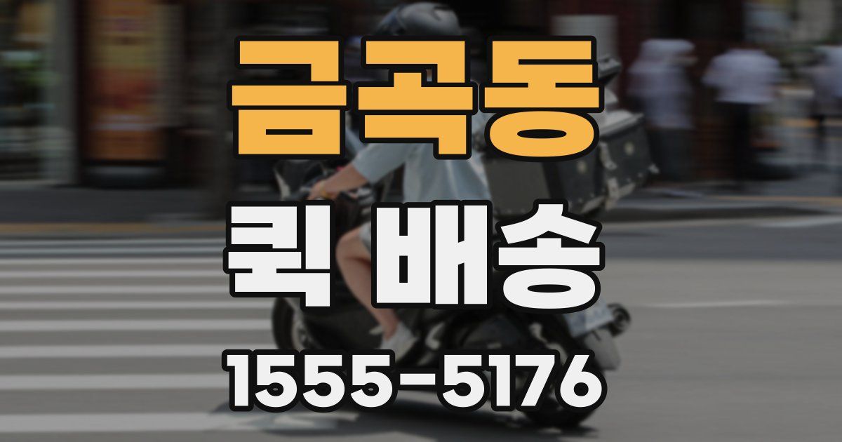 금곡동 퀵 배송