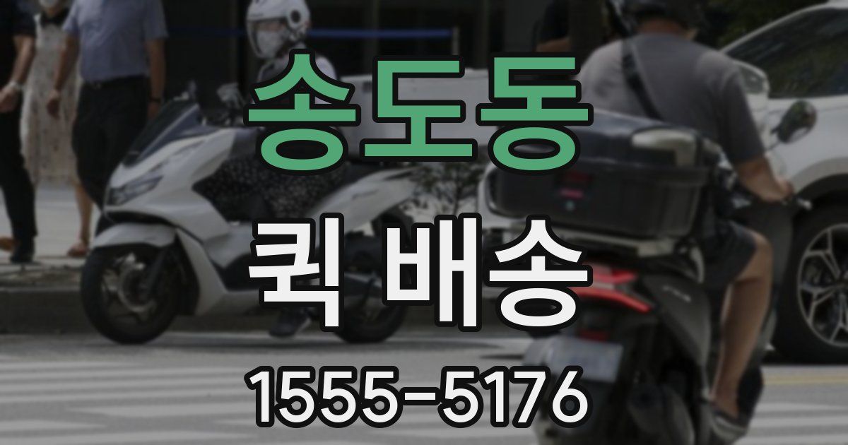 송도동 퀵 배송