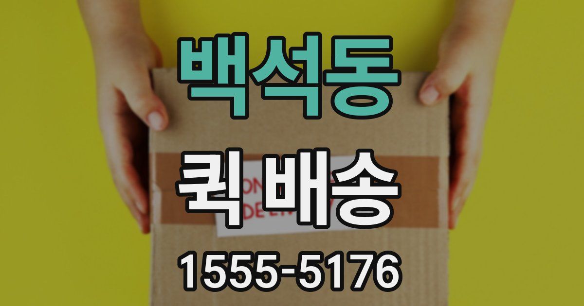 백석동 퀵 배송