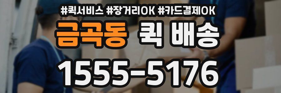 금곡동 퀵 배송