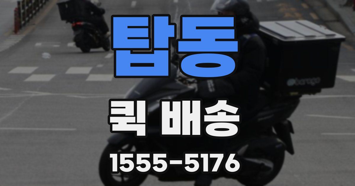 탑동 퀵 배송
