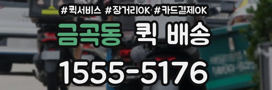 금곡동 퀵 배송