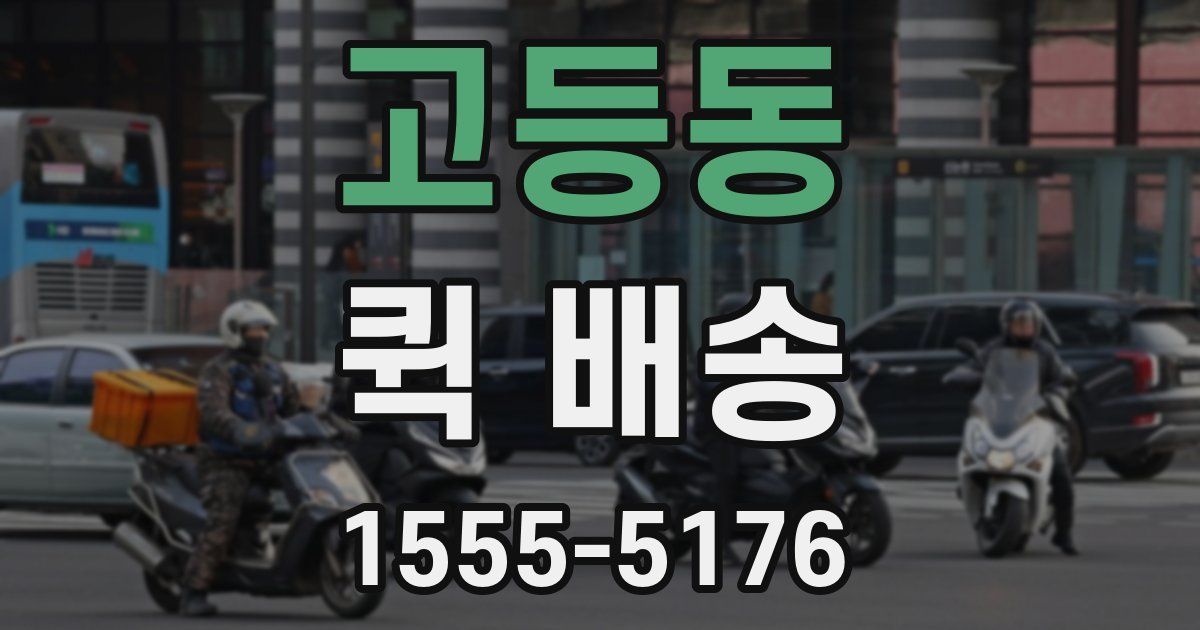 고등동 퀵 배송