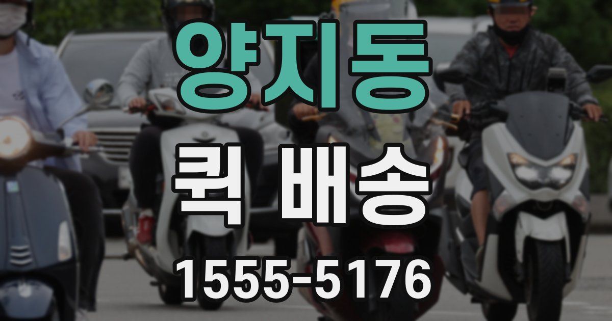 양지동 퀵 배송