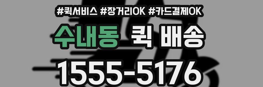 수내동 퀵 배송