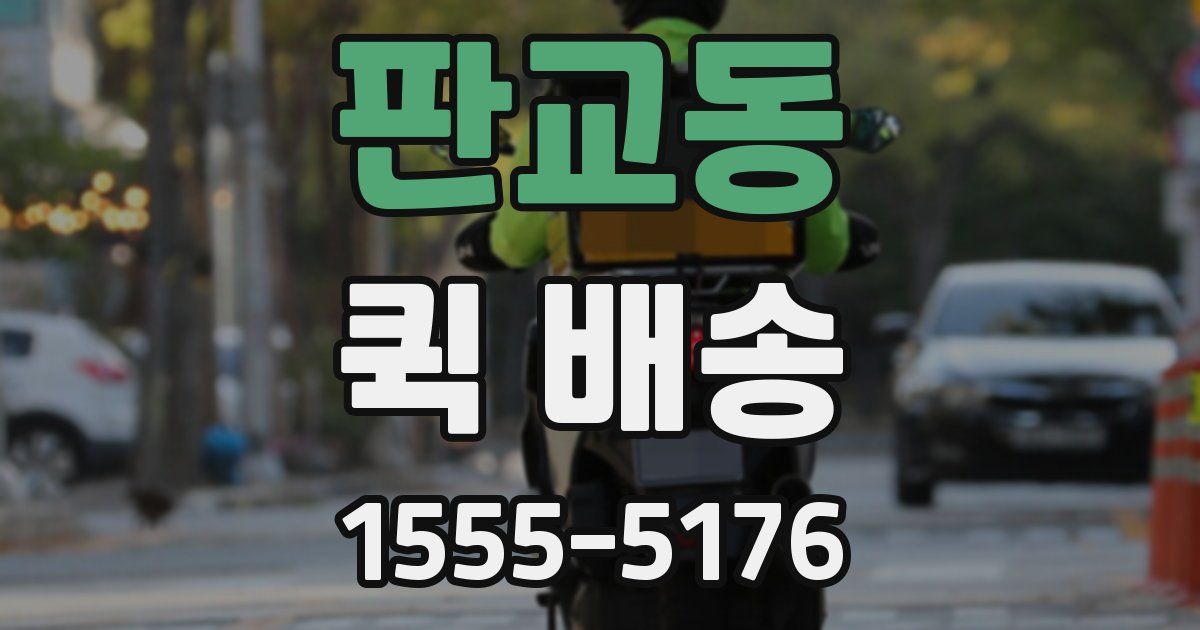 판교동 퀵 배송