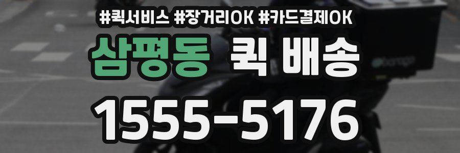 삼평동 퀵 배송