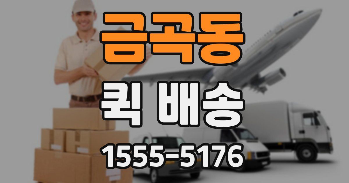 금곡동 퀵 배송
