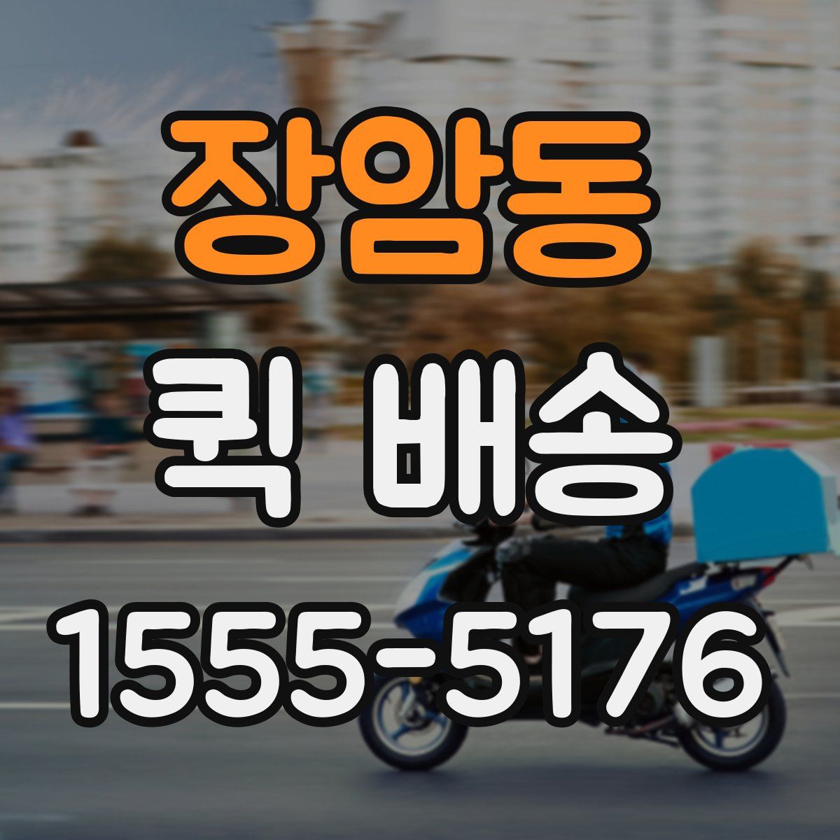 장암동 퀵 배송
