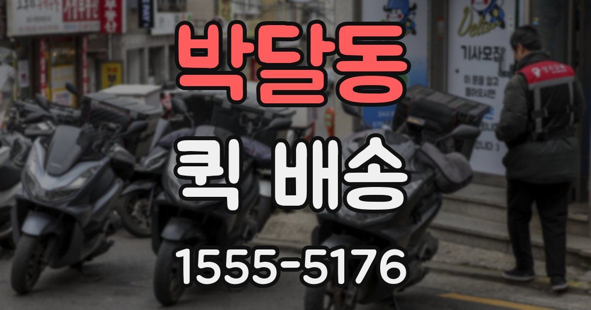 박달동 퀵 배송