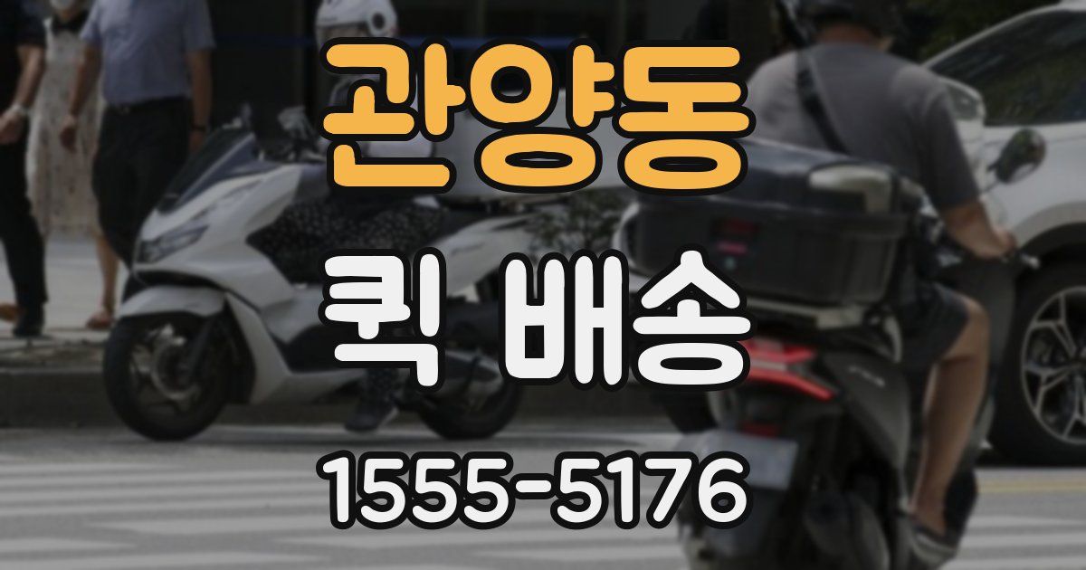 관양동 퀵 배송