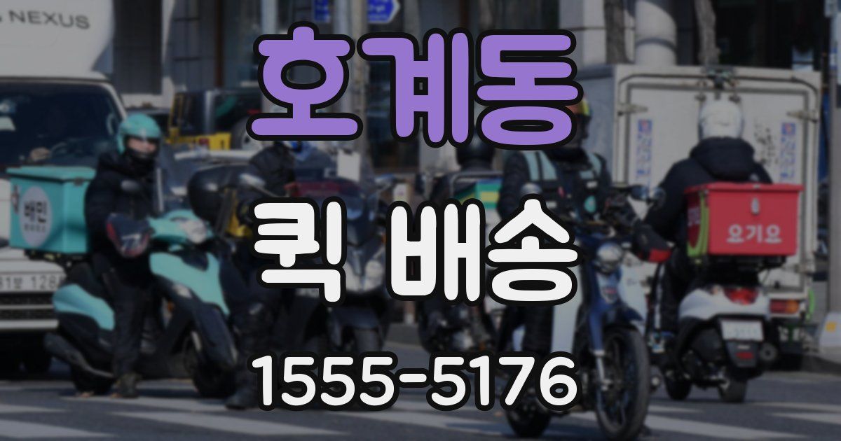 호계동 퀵 배송