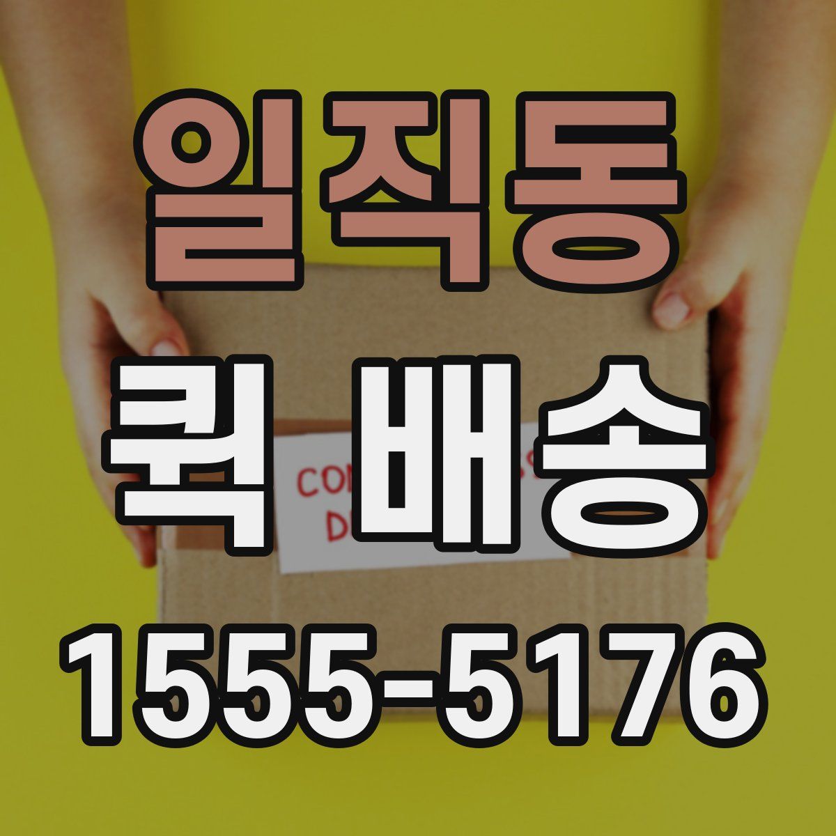 일직동 퀵 배송