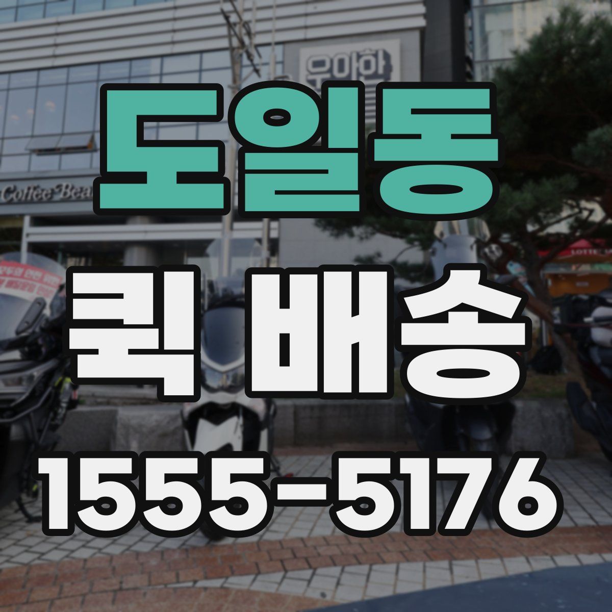도일동 퀵 배송