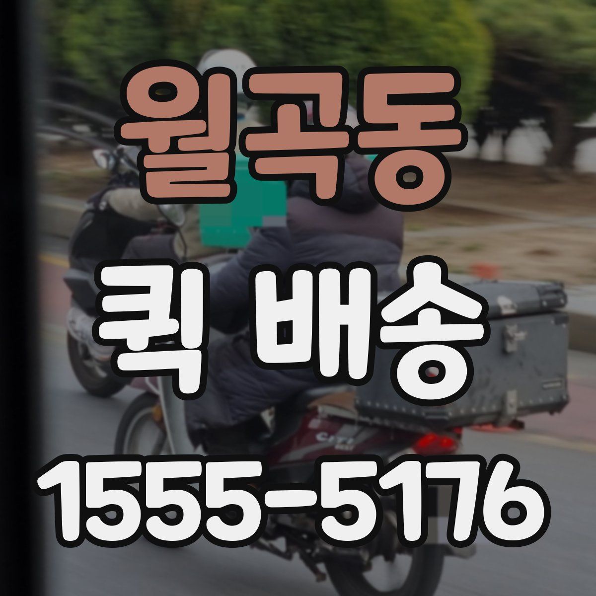 월곡동 퀵 배송