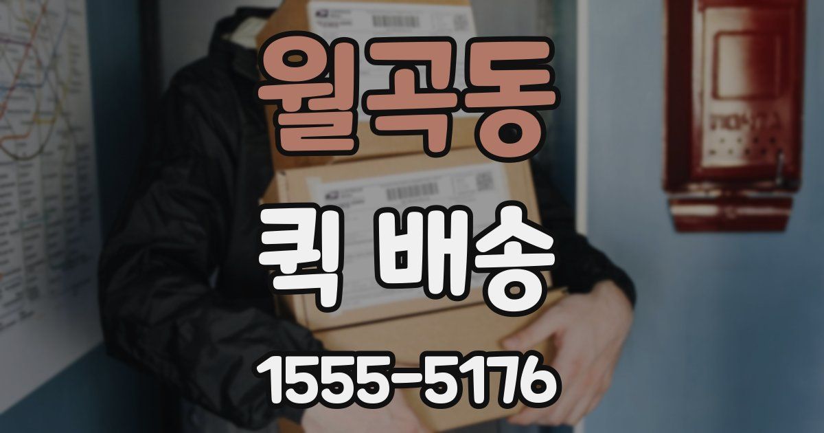 월곡동 퀵 배송