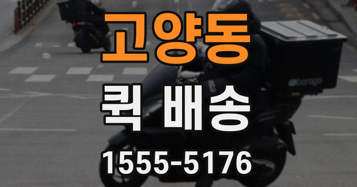 고양동 퀵 배송