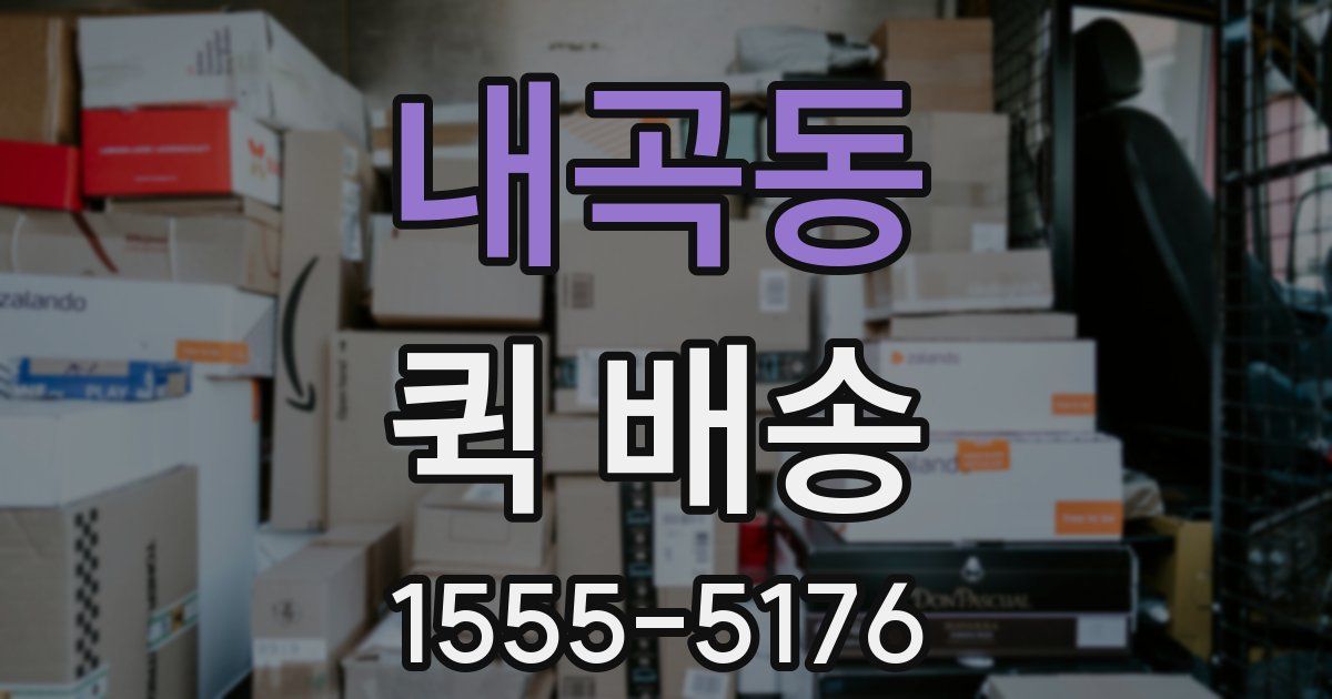 내곡동 퀵 배송