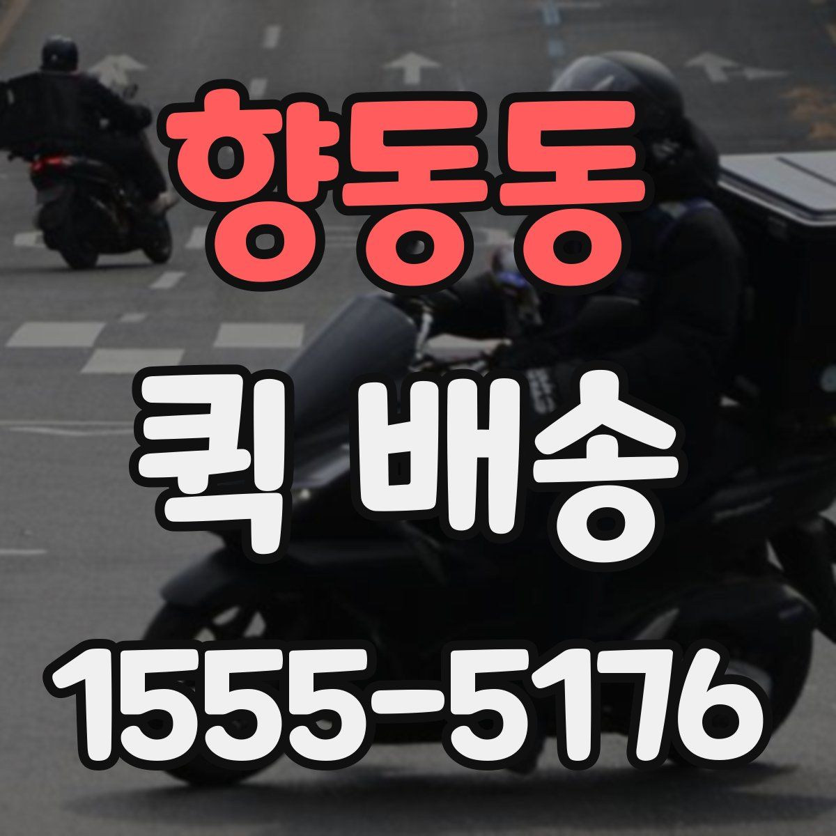 향동동 퀵 배송