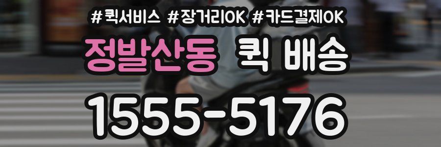 정발산동 퀵 배송