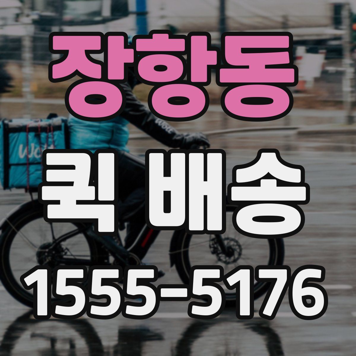 장항동 퀵 배송