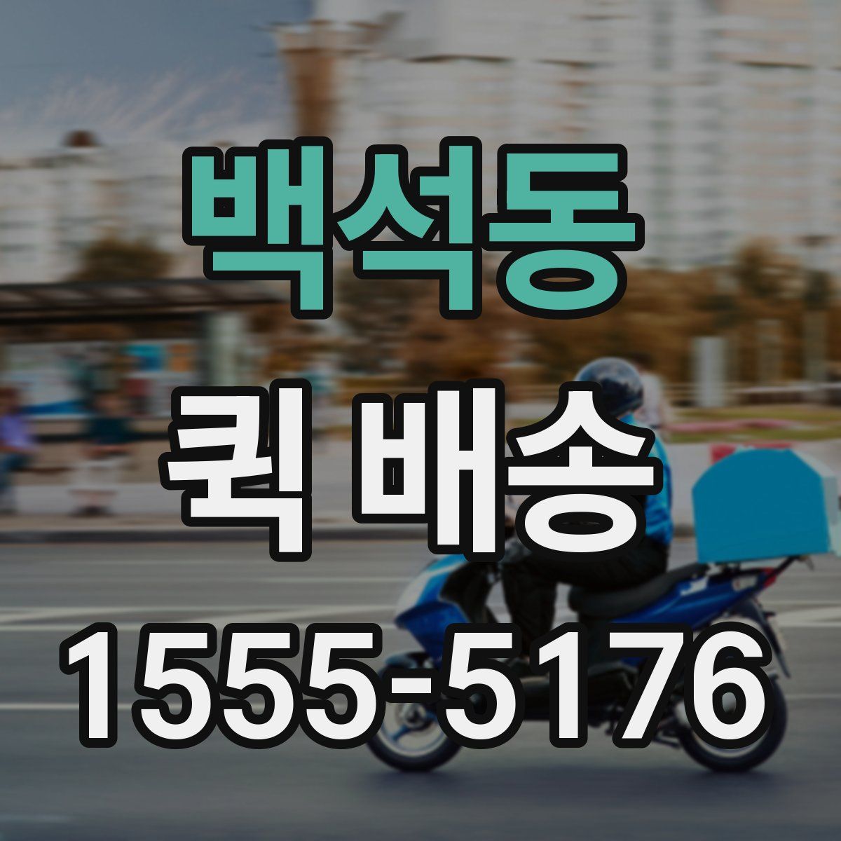 백석동 퀵 배송