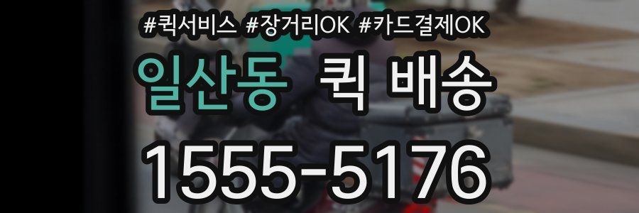 일산동 퀵 배송