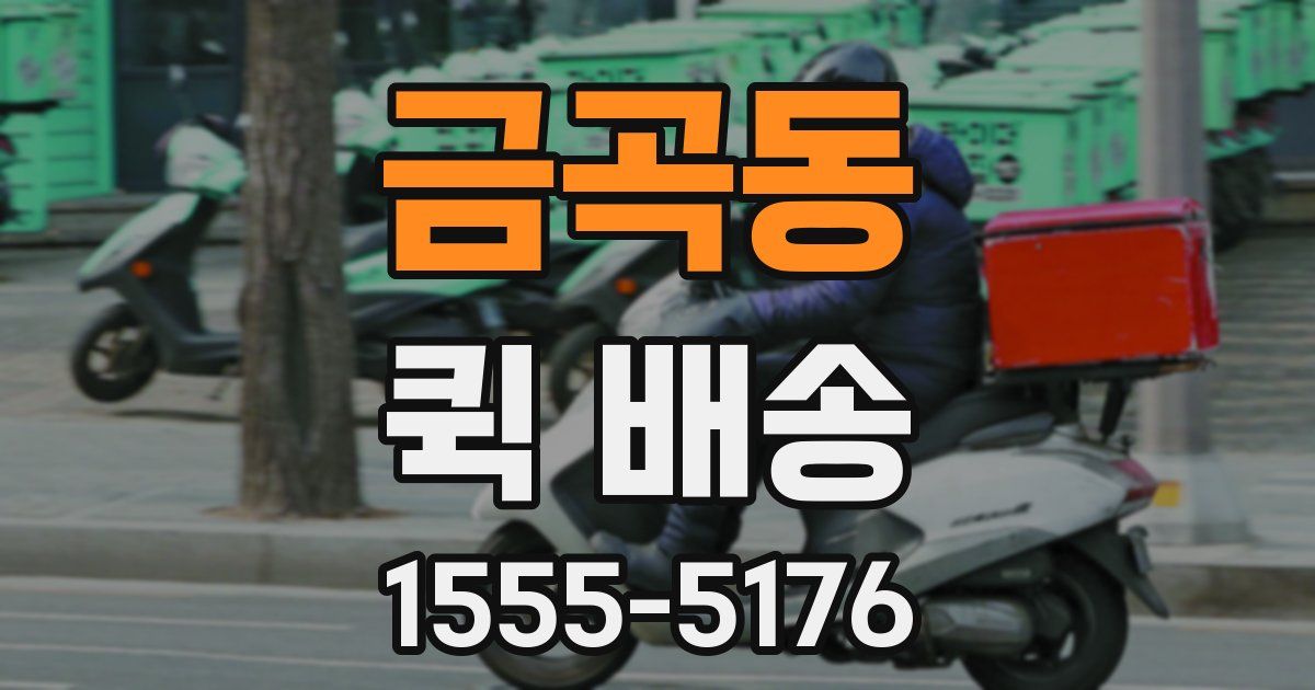 금곡동 퀵 배송