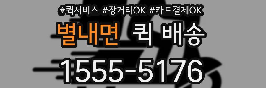 별내면 퀵 배송