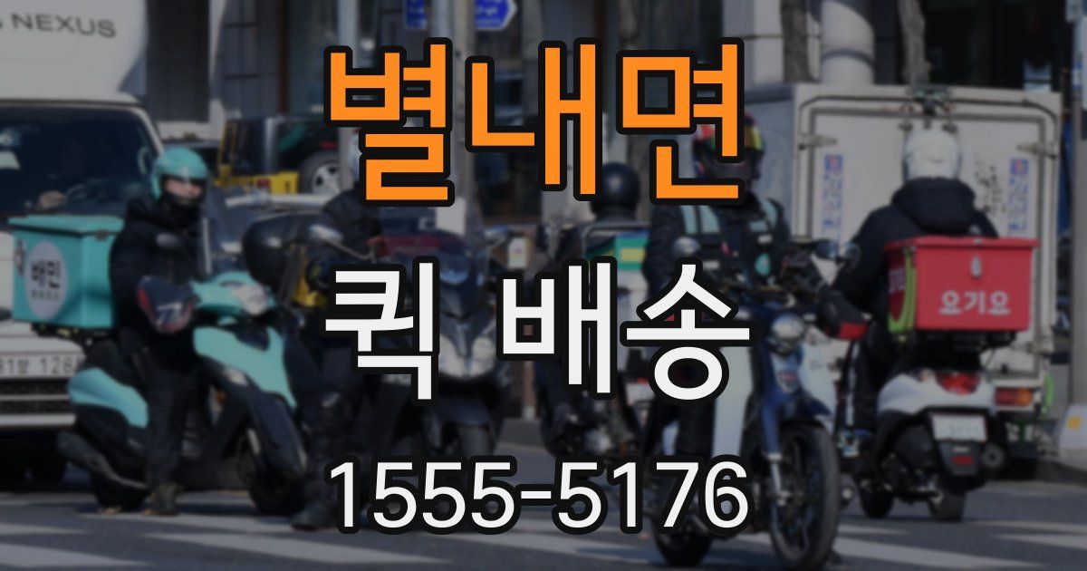 별내면 퀵 배송