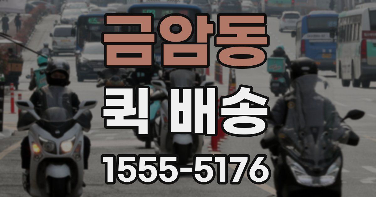 금암동 퀵 배송