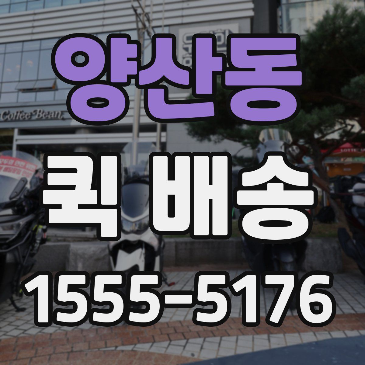 양산동 퀵 배송