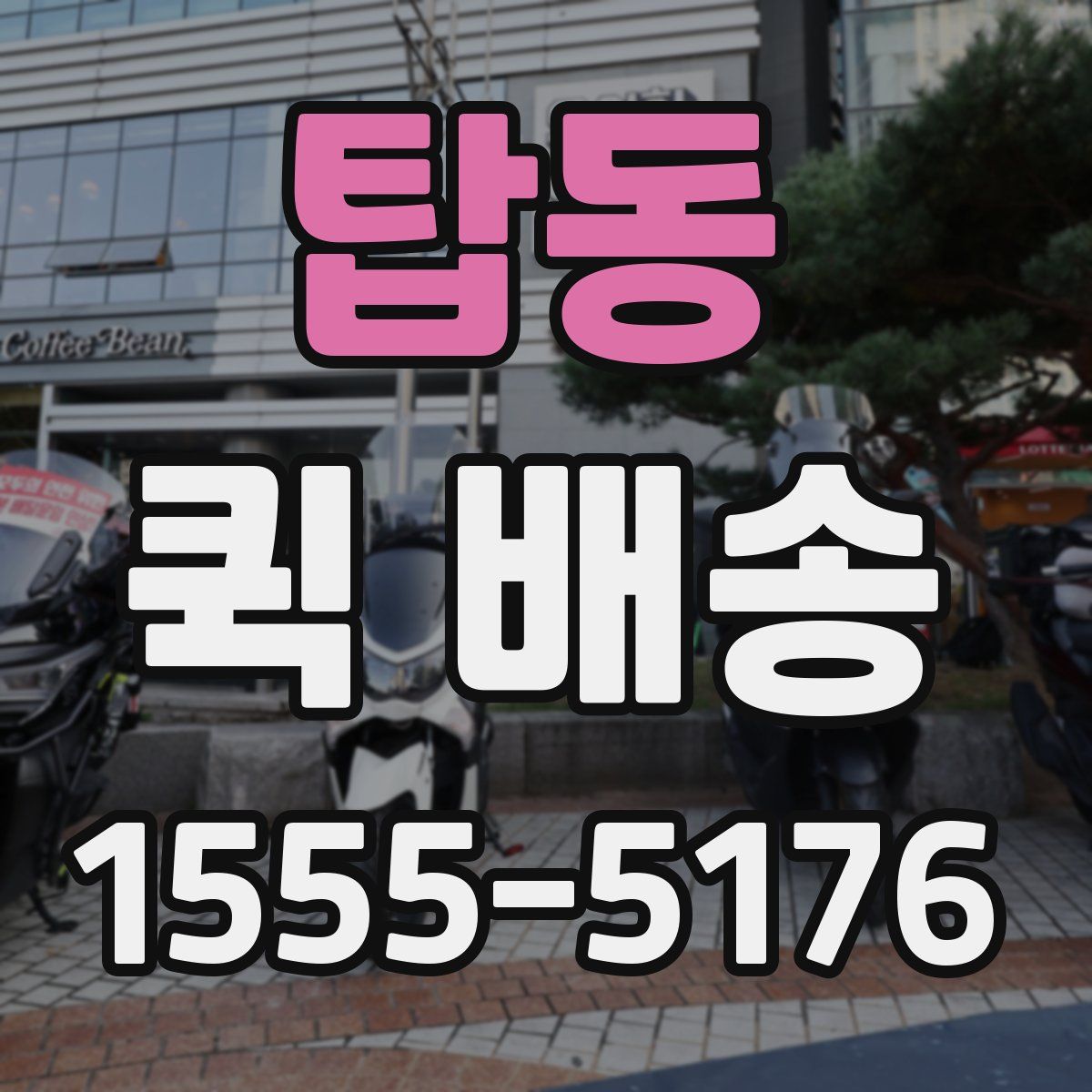 탑동 퀵 배송
