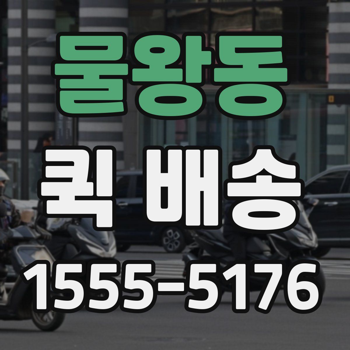 물왕동 퀵 배송