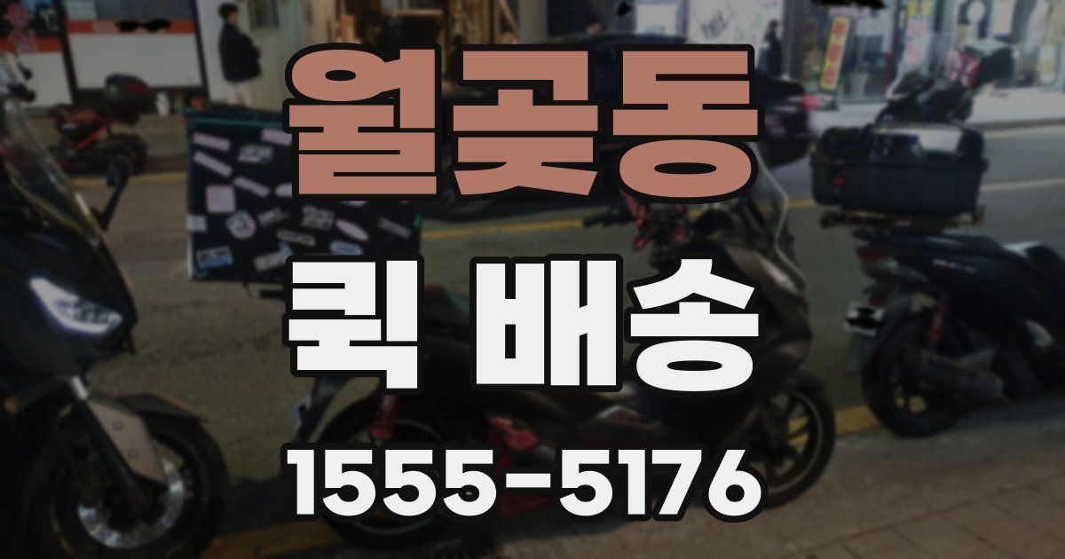월곶동 퀵 배송