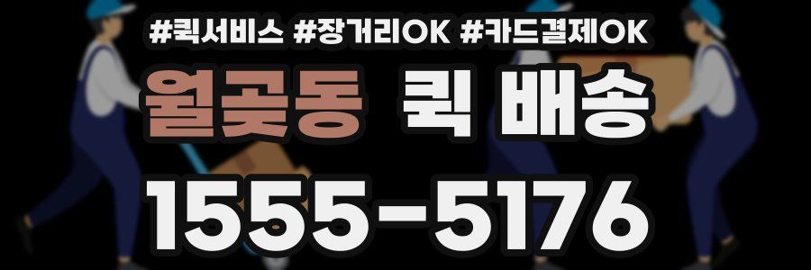 월곶동 퀵 배송