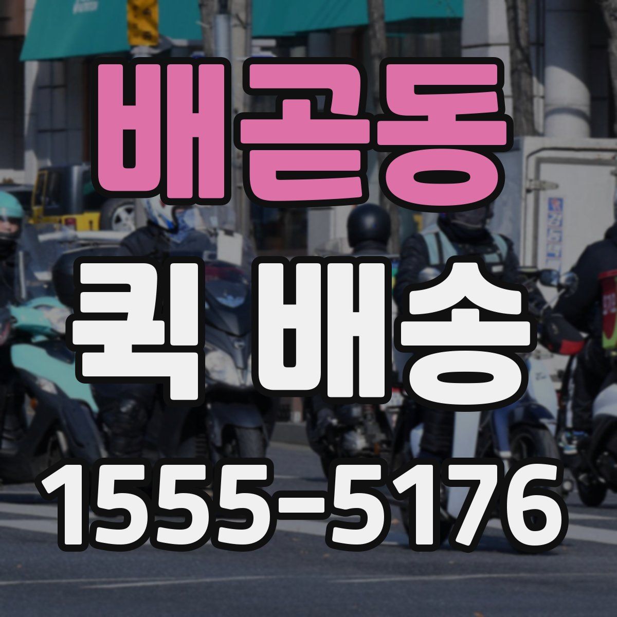 배곧동 퀵 배송