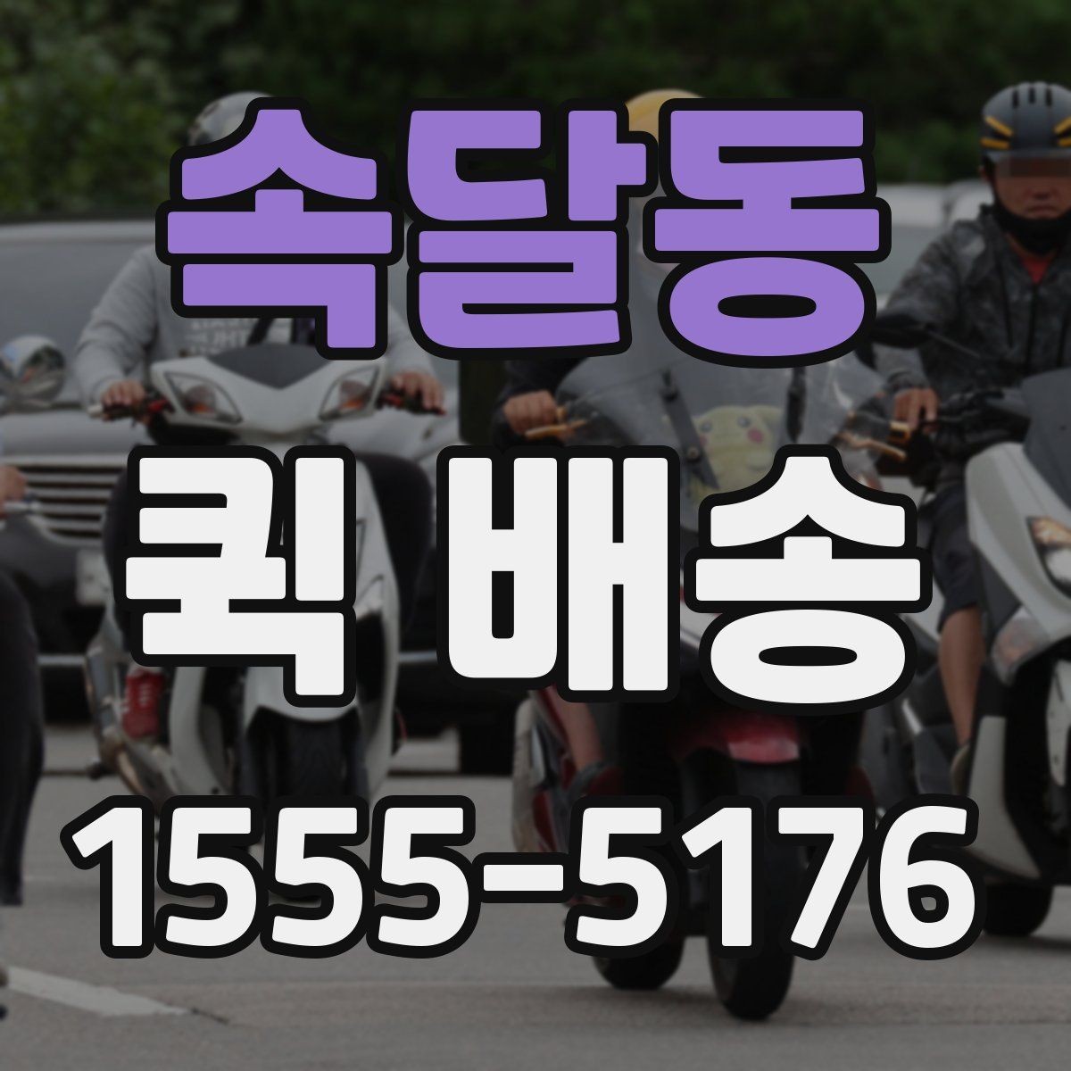 속달동 퀵 배송 지역별 이용 차이 살펴보기