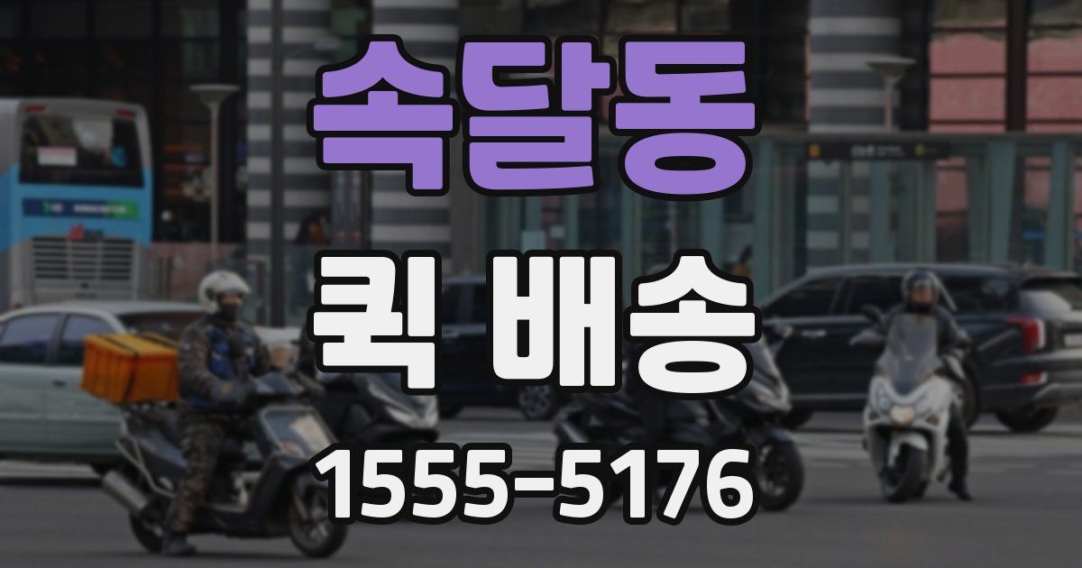 속달동 퀵 배송
