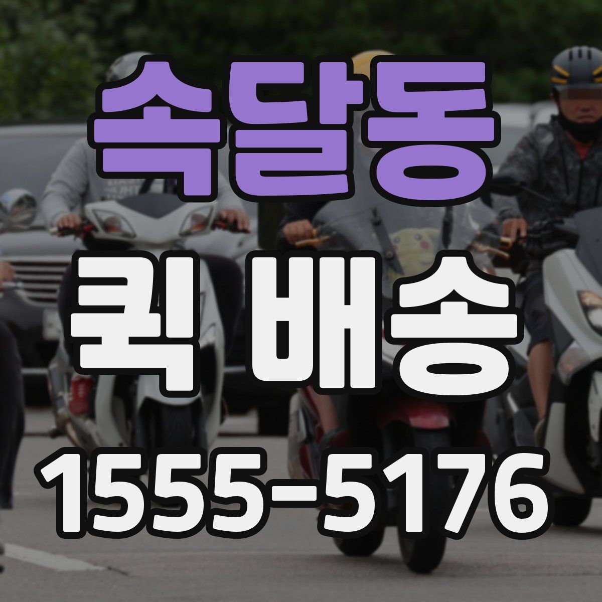 속달동 퀵 배송