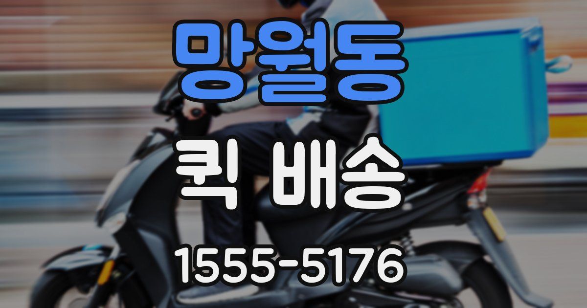 망월동 퀵 배송