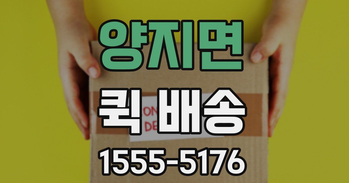 양지면 퀵 배송