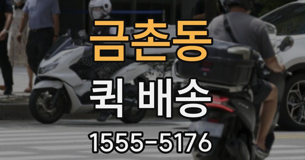 금촌동 퀵 배송