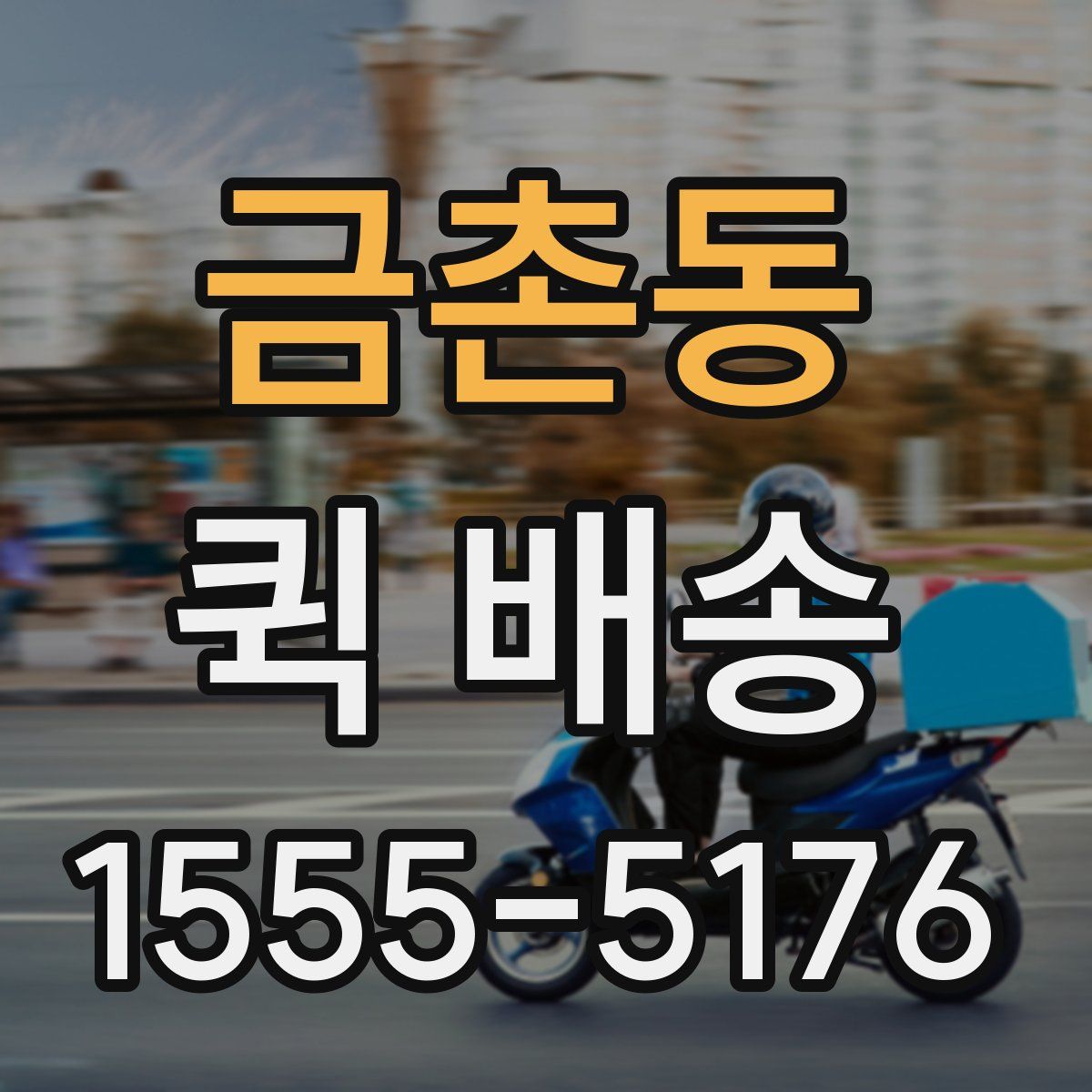 금촌동 퀵 배송
