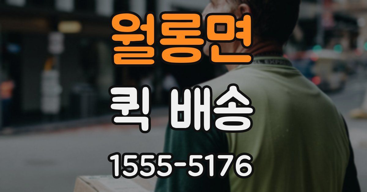 월롱면 퀵 배송