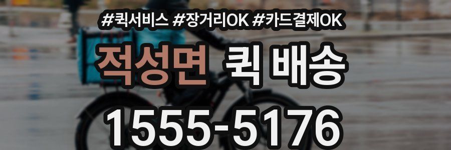 적성면 퀵 배송