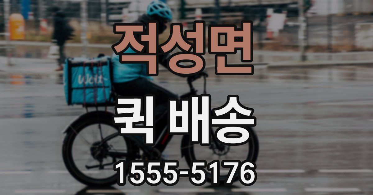 적성면 퀵 배송
