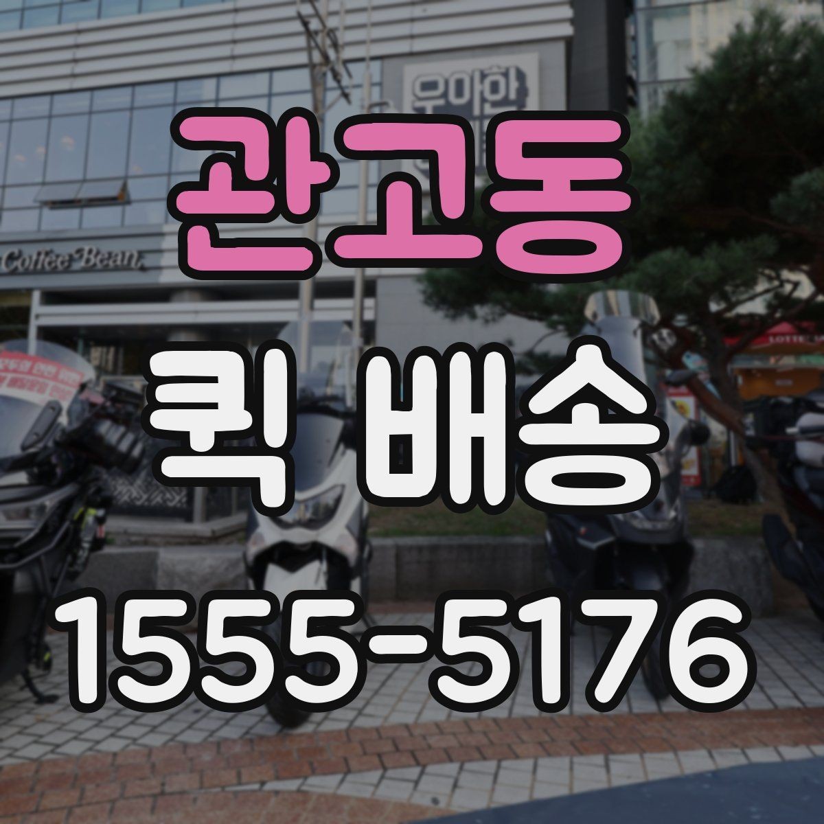 관고동 퀵 배송 문의 전 확인하면 좋은 정보
