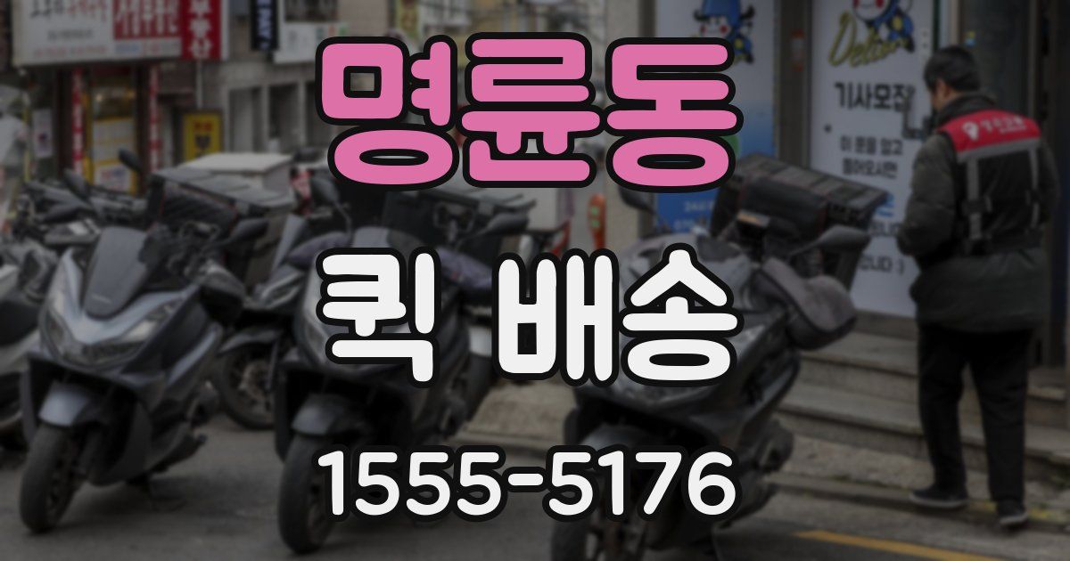 명륜동 퀵 배송