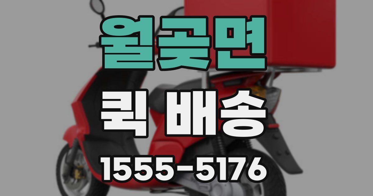 월곶면 퀵 배송